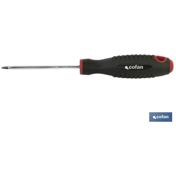 Destornillador cromo-molibdeno Plano Sl-4x80 - Imagen 1