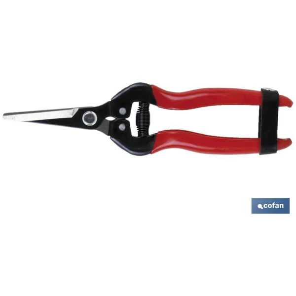 tijeras-de-recoleccion-punta-curva-185-mm