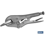 Tenaza Grip con mordazas Chapa 8″ • Herramientas Bazarot 9 Destornillador cromo-molibdeno Corto Ph-2×38